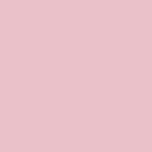 Лист EVA FOAM (фоамирана) 0,5 мм, Scrap Berrys SCB480106, нежно-розовый