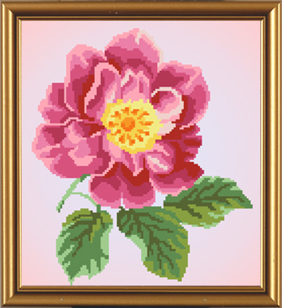 Рисунок на ткани Цветок шиповника, 26х32 см, БИС 3030, Нова Слобода