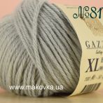 817XL світлий сірий