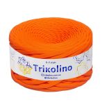 700473 Гарбузовий мус