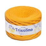 720026 Бурштиновий