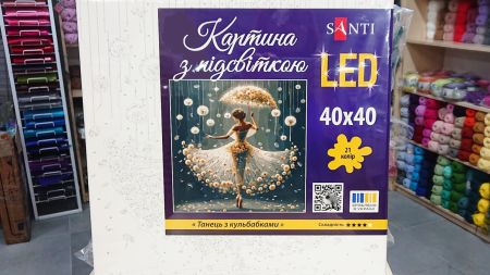 Картини за номерами з LED підсвіткою49057
