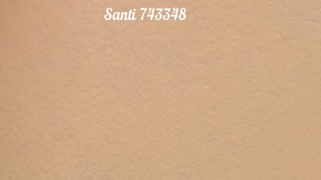 М'який фетр, колір Бежевий 743348, розмір 21х30см, товщина 1,2 мм, 1 аркуш Santi