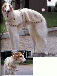 Накидка – плащ