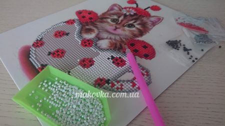 Алмазная техника картины стразами42707