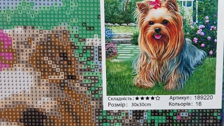 Картина стразами 189220 Адель (Йоркширський тер'єр) Go to Art Діамантові ручки на підрамнику