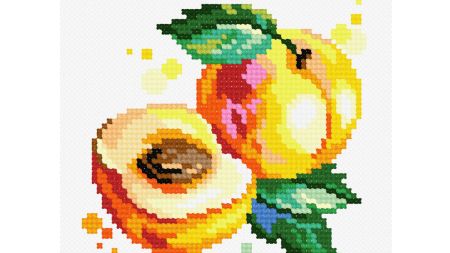 Абрикос N-1705 Чарівниця вышивка крестом50514