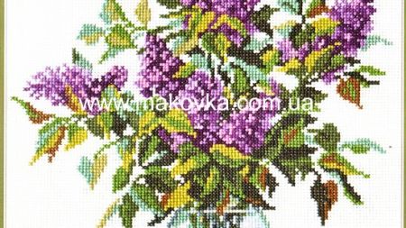 Натюрморт, квіти, фрукти і овочі3248