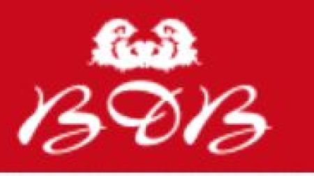 ВДВ вишивка бісером22419