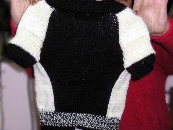 Вязанная одежка для собачки