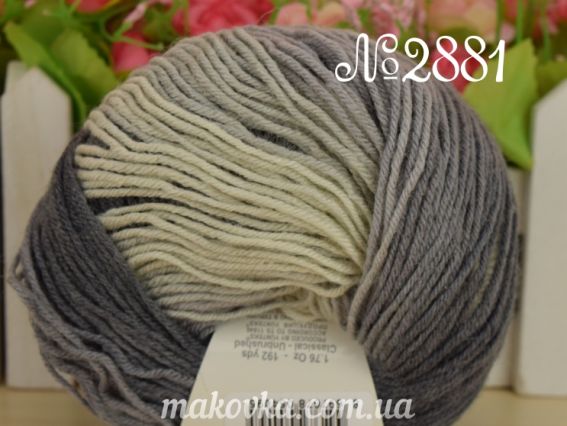 2881 СНЯТО