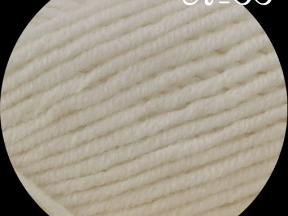 Lanagold PLUS Alize пряжа 55 белый