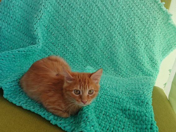 Так PUFFY Fine Alize иглядає в виробі