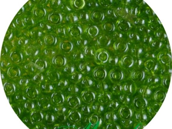 Чеський бісер Preciosa №10/0, круглий, колір 56220 світло-зелений 50 г Чеський бісер Preciosa №10/0, круглий, колір 56220 світло-зелений 50 г