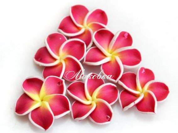 Намистина з полімерної глини №03 Цветок Тиаре, 26 мм, бордовый с желтым Намистина з полімерної глини №03 Цветок Тиаре, 26 мм, бордовый с желтым