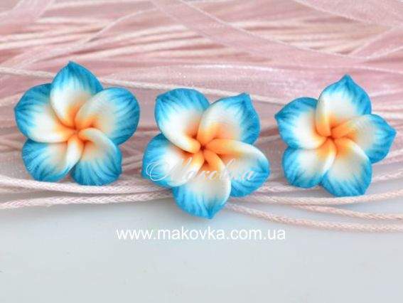 Намистина з полімерної глини №07 Цветок Тиаре, 20 мм, бело-голубой Намистина з полімерної глини №07 Цветок Тиаре, 20 мм, бело-голубой