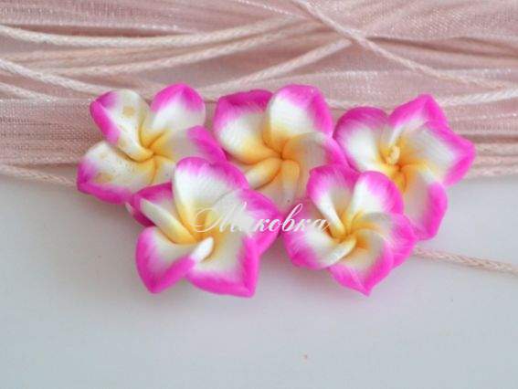 Намистина з полімерної глини №21 Цветок Тиаре, 14 мм, бело-фрезовая Намистина з полімерної глини №21 Цветок Тиаре, 14 мм, бело-фрезовая