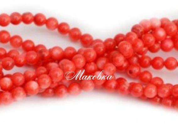 Бусины ракушка 23 шар 4 мм, 1 низка, коралловые Бусины ракушка 23 шар 4 мм, 1 низка, коралловые