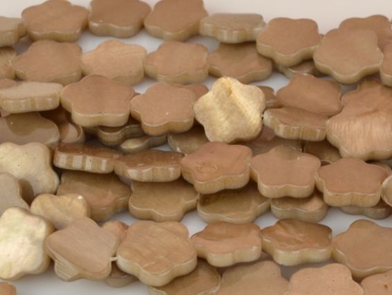 Бусины ракушка 38 Цветок 14 мм , кофейные, 1 низка