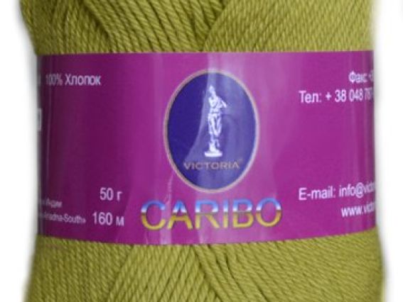 Caribo Victoria пряжа 9040 фисташковый