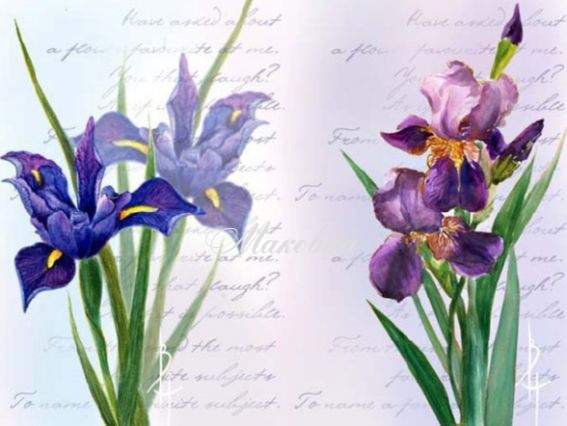 Декупажная карта Цветы для герцогини, 21х29,7 см, Cheap Art