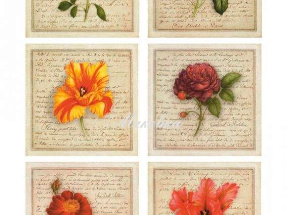 Декупажная карта Цветы на стриницах, ROSA START 21х29,7 см