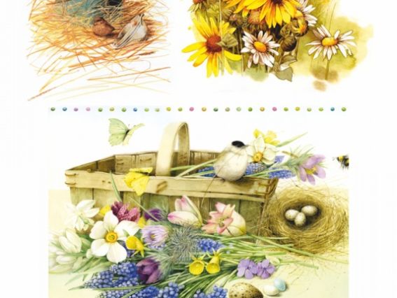 Декупажная карта Птички, ROSA START 21х29,7 см