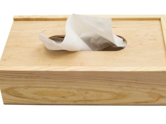 Заготовка Салфетница выдвижная деревянная, 24х14х7 см Заготовка Салфетница выдвижная деревянная, 24х14х7 см