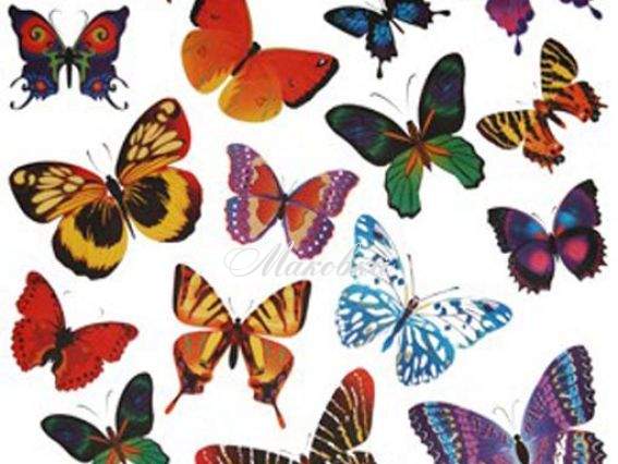 Декупажная карта Бабочки, 40х30см, Art