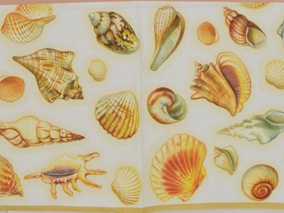 Декупажная салфетка №167 ракушки, 1 шт Декупажная салфетка №167 ракушки, 1 шт