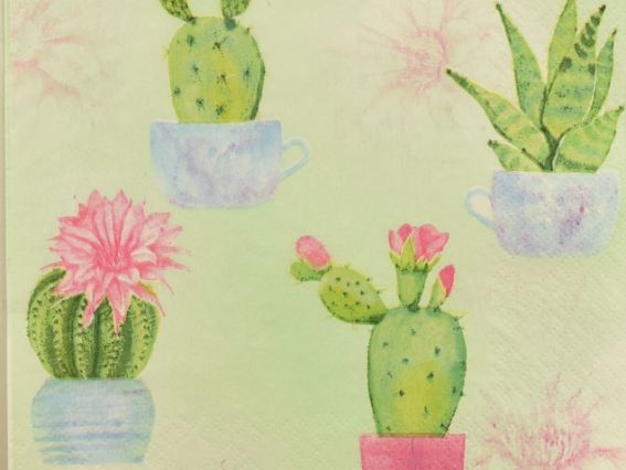 Декупажная салфетка №190 кактусы на салатовом фоне, 1 шт  Декупажная салфетка №190 кактусы на салатовом фоне, 1 шт 