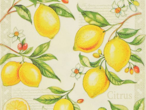 Декупажная салфетка №212 Веточки с лимонами, 1 шт 