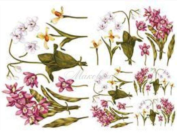 Декупажная карта Орхидеи, 50х70 см, TO DO