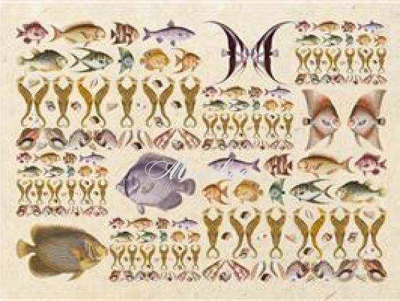 Декупажная карта Рыбы и ракушки, 50х70 см, TO DO