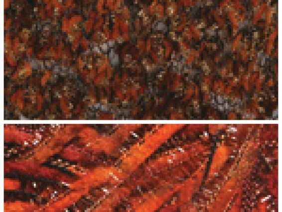 Ney Madame Tricote 836