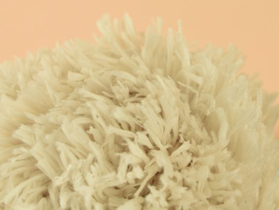 Фрагмент этикетки