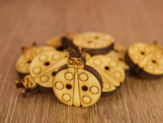 Набір дерев'яних гудзиків Сонечка, з двома дірочками, 10шт Чудесина