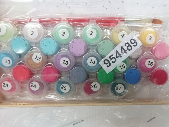 SANTI Роспись по номерам 954489 Цветущий Париж