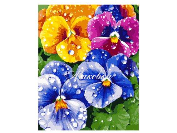 Братки 954850 SANTI картина за номерами Братки 954850 SANTI картина за номерами