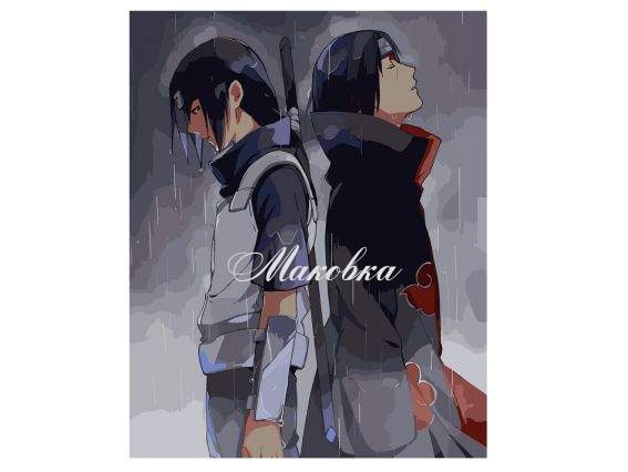 Противостояние 955380 SANTI картина по номерам Противостояние 955380 SANTI картина по номерам