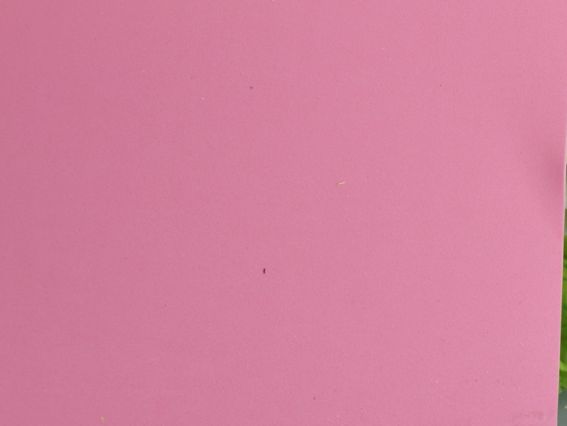 Ева фоам Рожевий 742705 Santi товщина 1,7 мм, А4, 1 аркуш