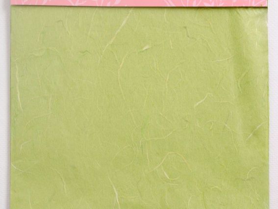 Рисовая бумага, ЗЕЛЕНАЯ, 50х70 см Santi 952722 Рисовая бумага, ЗЕЛЕНАЯ, 50х70 см Santi 952722