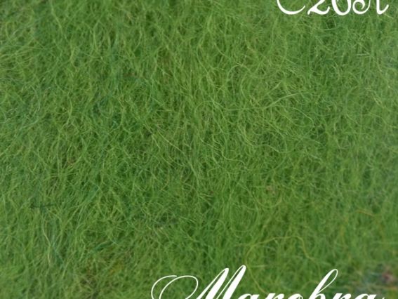 Шерсть для валяния кардочес С26А, 50 г, Margo Шерсть для валяния кардочес С26А, 50 г, Margo