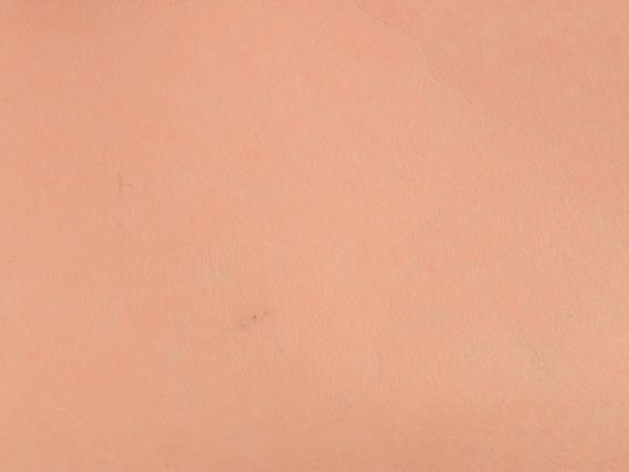 Фетр 1 мм листовой Кремово-розовый 165044 42х32,5см, 1 шт Фетр 1 мм листовой Кремово-розовый 165044 42х32,5см, 1 шт