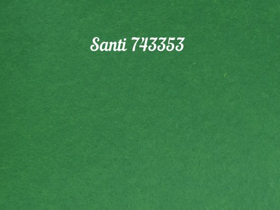 Фетр м'який Santi 743353 Яскраво-зелений, 21х30 см, товщина 1,2 мм, 1 аркуш Фетр м'який Santi 743353 Яскраво-зелений, 21х30 см, товщина 1,2 мм, 1 аркуш