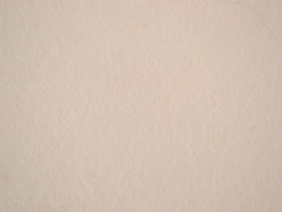 Фетр натуральный листовой №01 белый, 20х30 см, 1,3 мм, Испания Фетр натуральный листовой №01 белый, 20х30 см, 1,3 мм, Испания