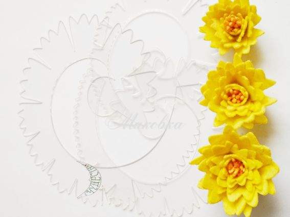 Пластиковый шаблон Цветок ПШЦС02 3 шт в уп Чудесина