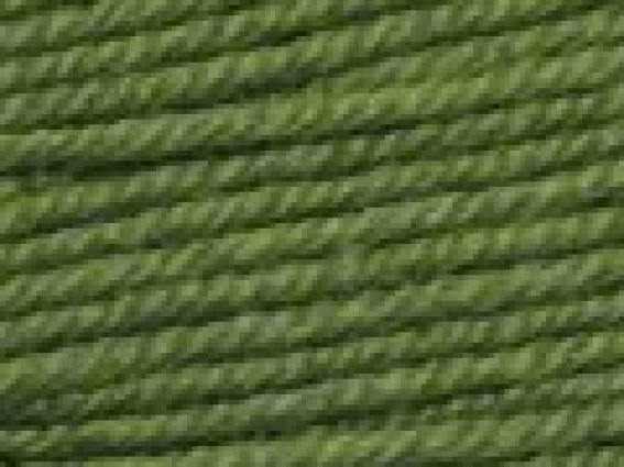 Colibri Victoria пряжа 426 салатовый