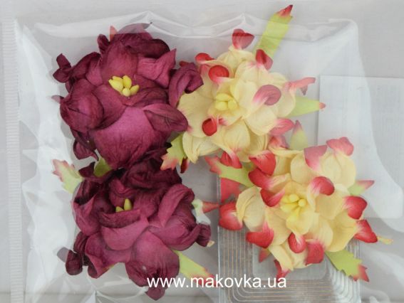 Цветки гардении, набор 4 шт, бордовые, сливочно-бордовые, SCB290110, ScrapBerrys Цветки гардении, набор 4 шт, бордовые, сливочно-бордовые, SCB290110, ScrapBerrys