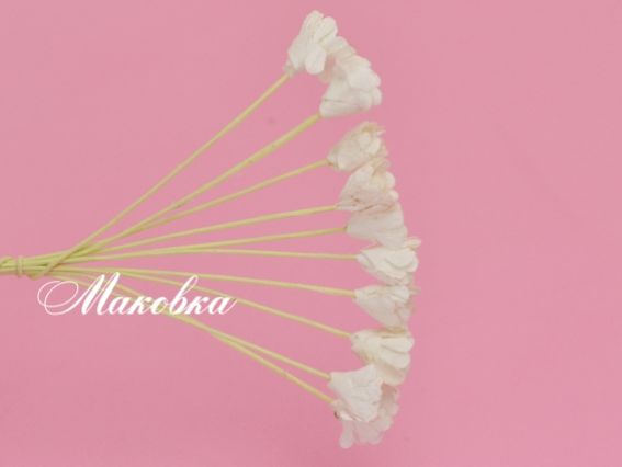 Набор цветочков Хризантемы белые, 1 см, 10 шт, ScrapBerrys SCB291401 Набор цветочков Хризантемы белые, 1 см, 10 шт, ScrapBerrys SCB291401